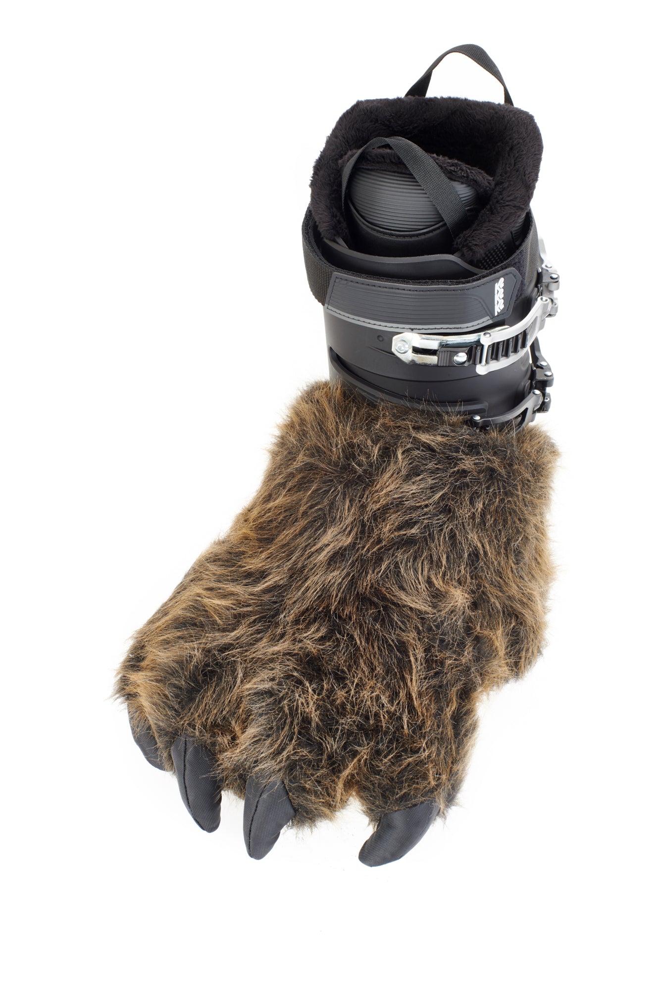Da Bear Claw
