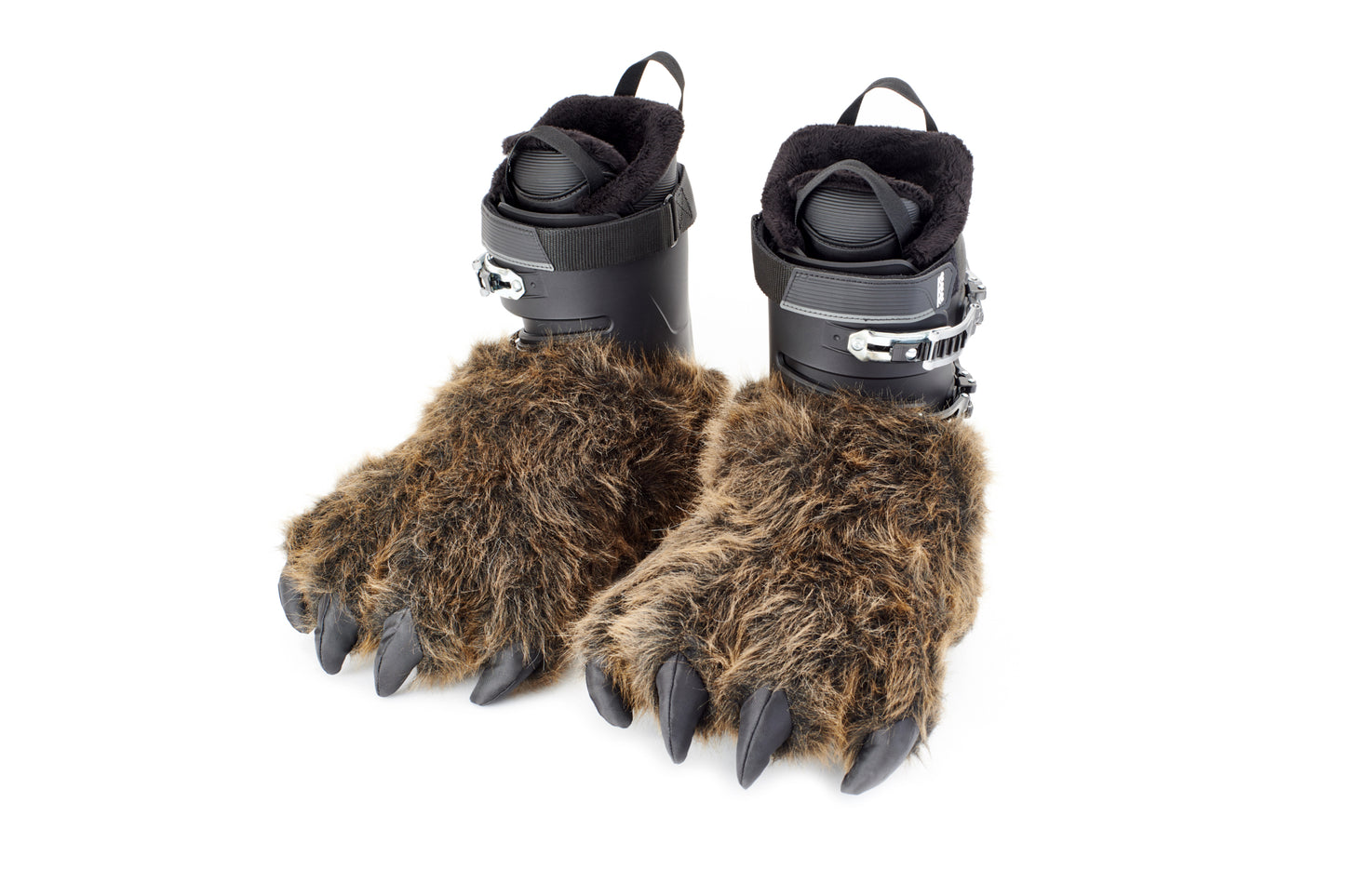 Da Bear Claw